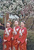 Kairaku-en bog'idagi Ume festivali