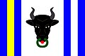 Flag of Koroužné