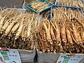 Yangi Jenshen ( P. ginseng )