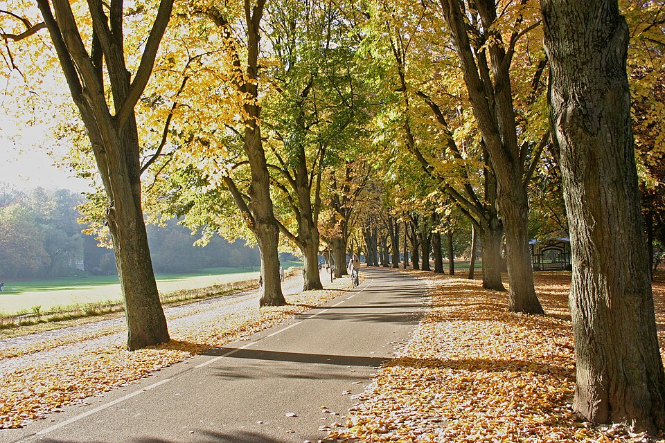 Fayl:Baden-Baden-Lichtentaler Allee-312-2005-gje.jpg