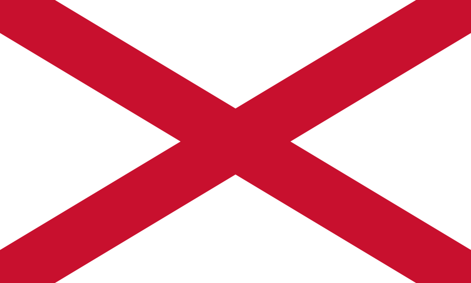 Fayl:Saint Patrick's Saltire.svg