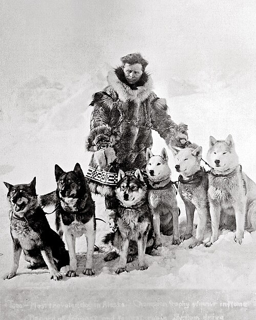Fayl:Leonhard Seppala with dogs.jpg