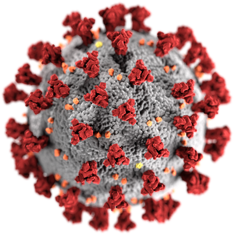 Fayl:SARS-CoV-2 without background.png