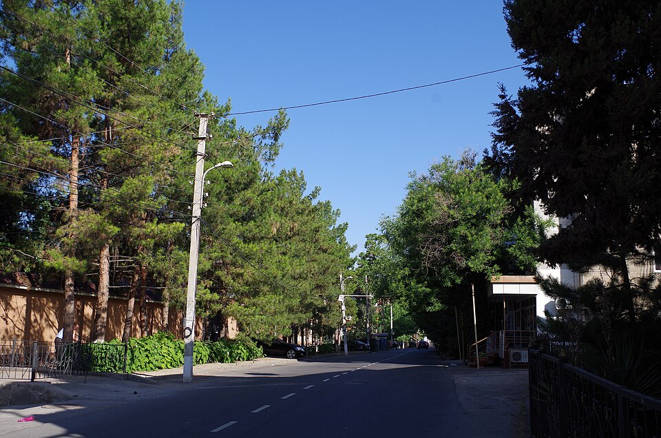 Fayl:Vosit vohidov 002.jpg