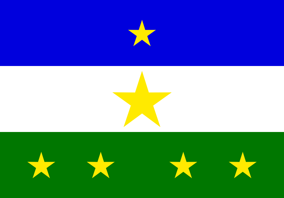 Fayl:Bandeira de Rorainopolis.svg