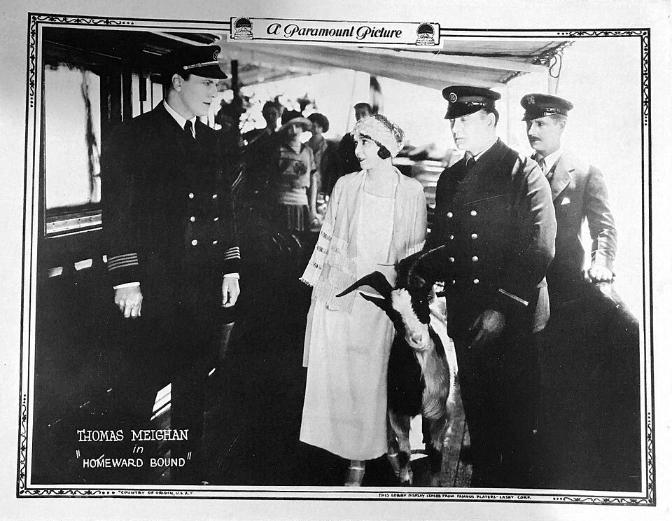 Fayl:Homeward Bound lobby card.jpg