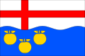 {{{rasmiy_nomi}}}ning bayrogʻi