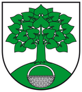 Schielo