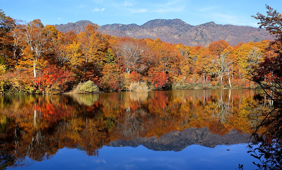 Fayl:Fall colours in Otari, Japan.jpg