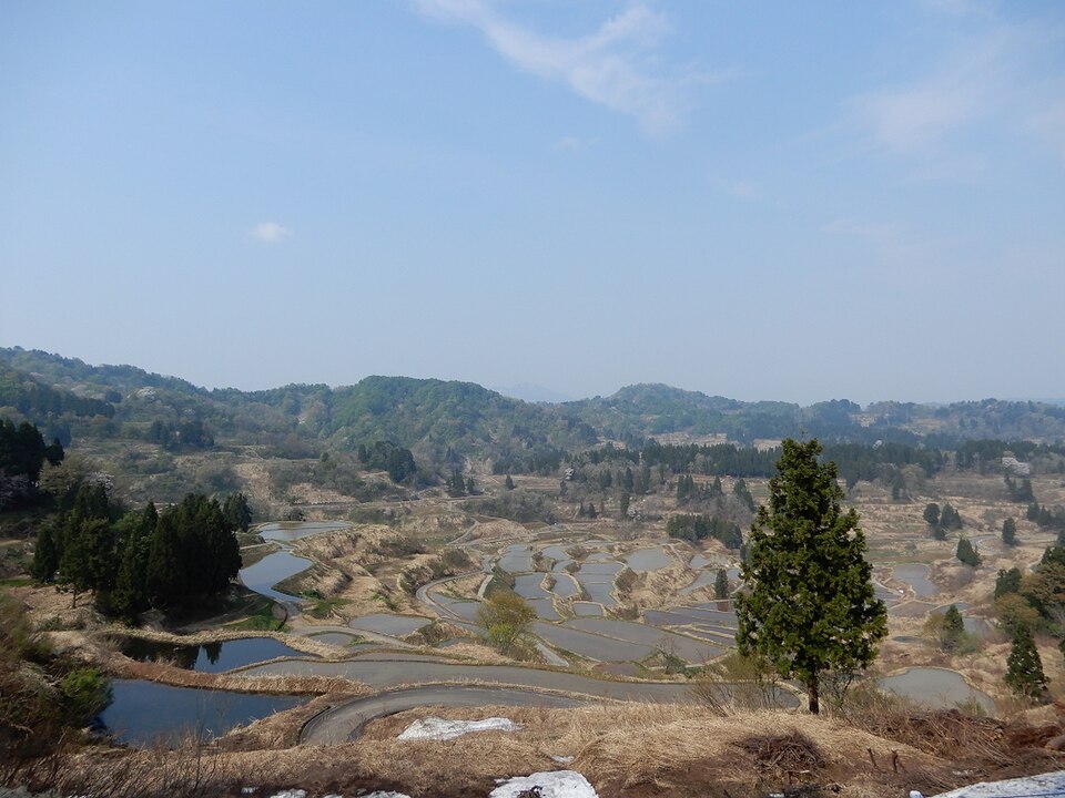 Fayl:Hoshitoge.jpg