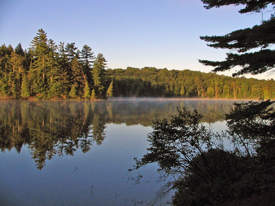 Fayl:Long Pond - St Regis.jpg