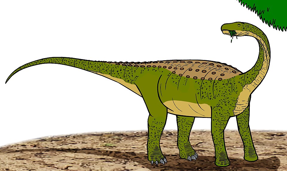 Fayl:Magyarosaurus 04800.JPG