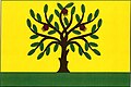 {{{rasmiy_nomi}}}ning bayrogʻi