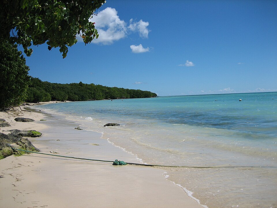 Fayl:Plagegrandeterre.jpg
