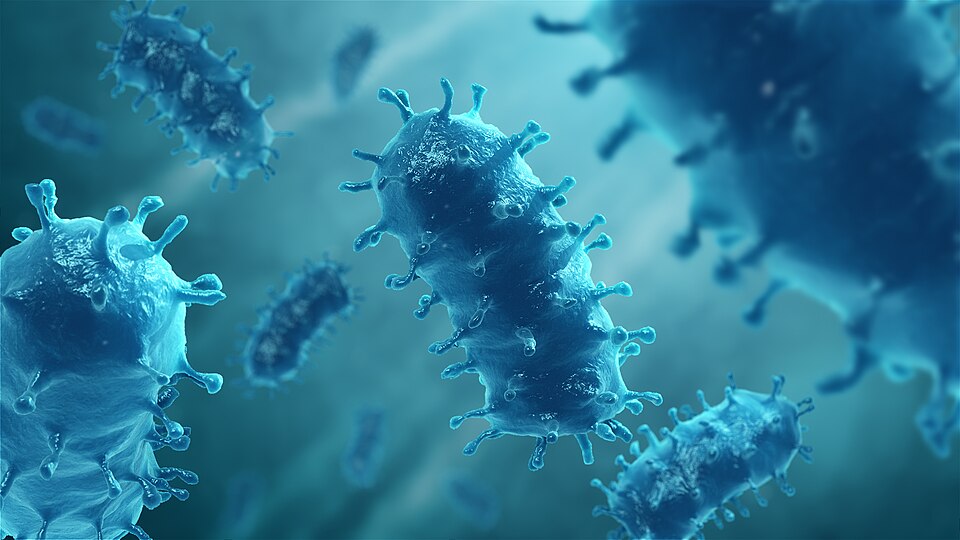 Fayl:Rabies Virus.jpg