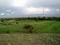 Skyline of Nadir Shah Kot tumani