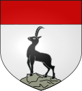 Chamois
