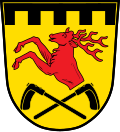 Neusorg