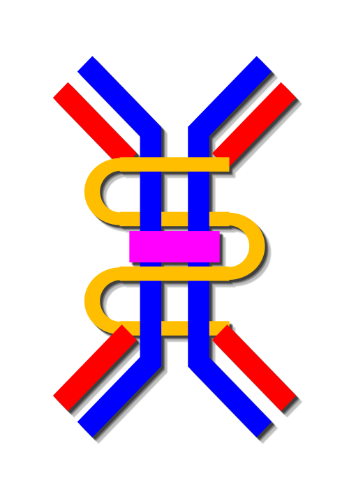 Fayl:Dimeric IgA schematic 01.svg