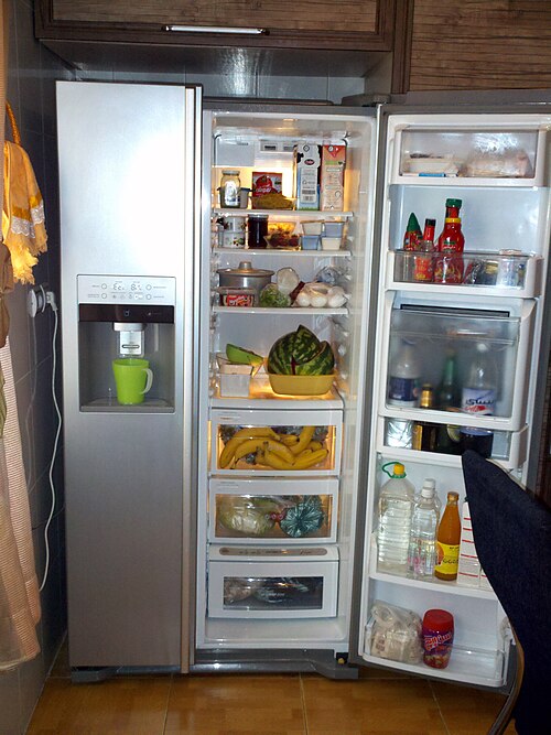 Fayl:LG refrigerator interior.jpg