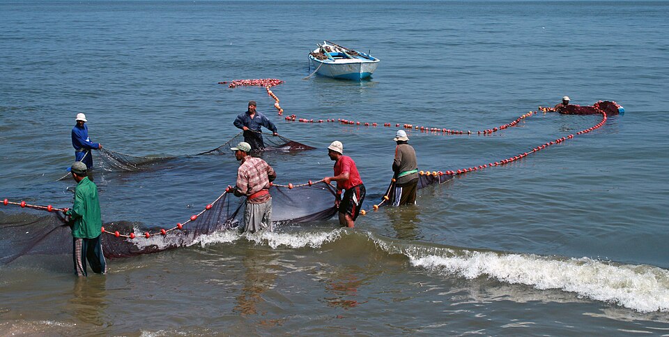 Fayl:Fishermen in Egypt.jpg