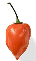 Habanero qalampiri