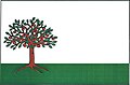 Flag of Jabloňov