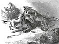 Raglan qal'asida itlar bilan qochgan leopard jangi, taxminan 1875-yil, Sidney P. Xoll