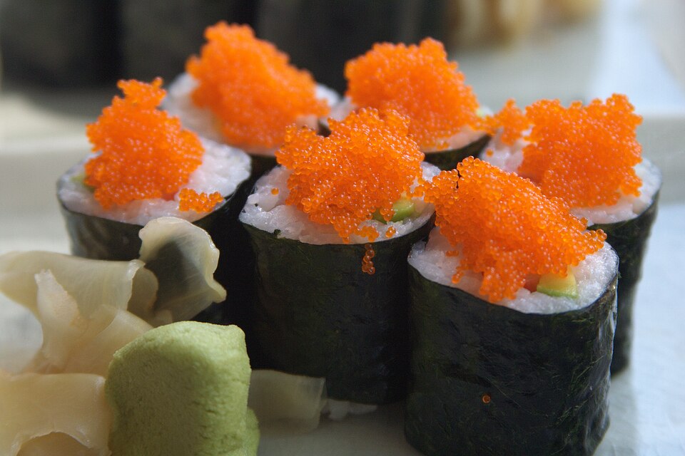 Fayl:Makizushi.jpg