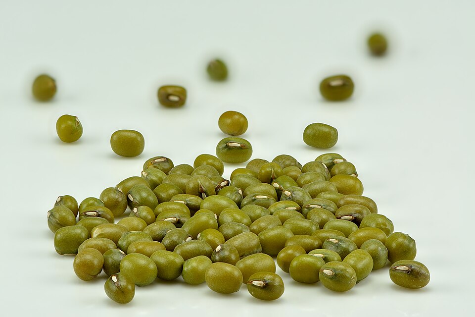 Fayl:Mung beans (Vigna radiata).jpg