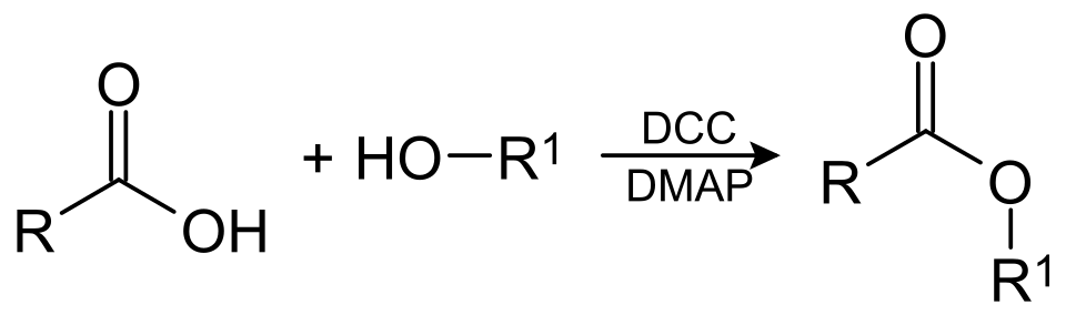Fayl:Steglich-1.svg