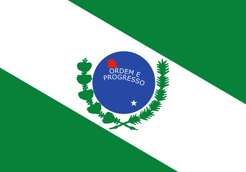 Fayl:Bandeira estadual do Paraná 1892.svg