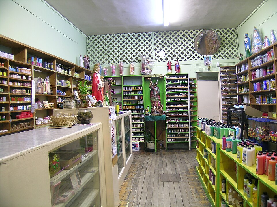 Fayl:Botanica.jpg