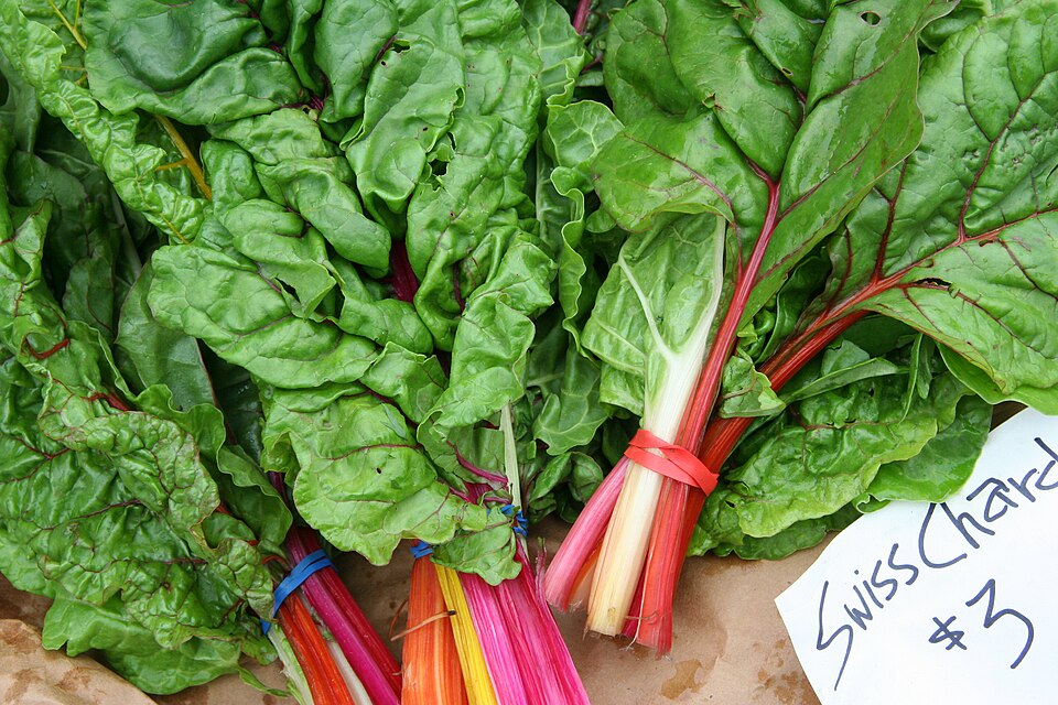 Fayl:SwissChard.jpg