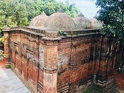 Muqobil koʻrinishi