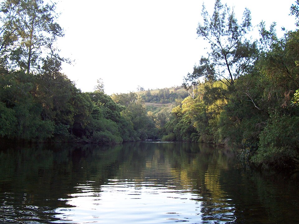Fayl:Barrington River 1.jpg