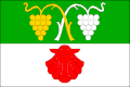 {{{rasmiy_nomi}}}ning bayrogʻi