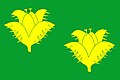 Bukvice