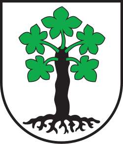 Fayl:CHE Trun COA.svg