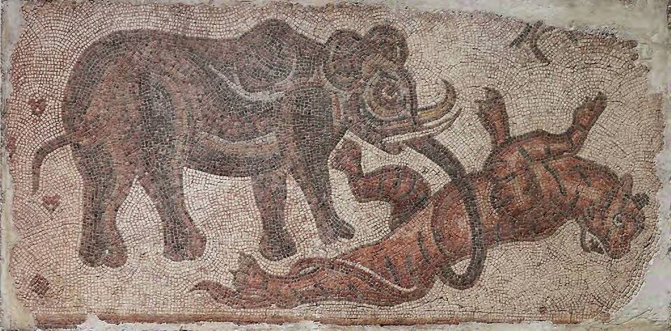 Fayl:Elephant Attacking a Feline.jpg