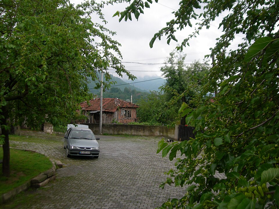 Fayl:Mahallesi.jpg