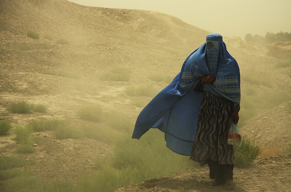 Fayl:Woman with Burqa (4324680171) (2).jpg