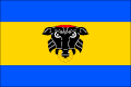 {{{rasmiy_nomi}}}ning bayrogʻi