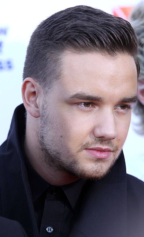 Fayl:Liam Payne November 2014.jpg