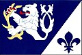 {{{rasmiy_nomi}}}ning bayrogʻi
