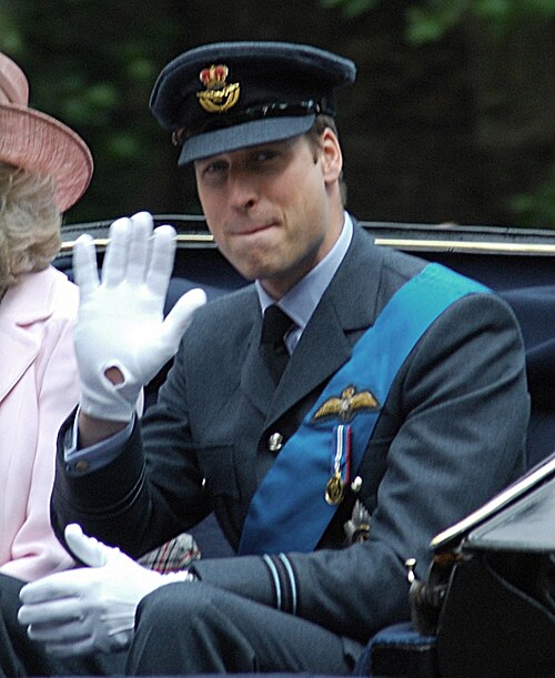 Fayl:Prince William of Wales RAF.jpg