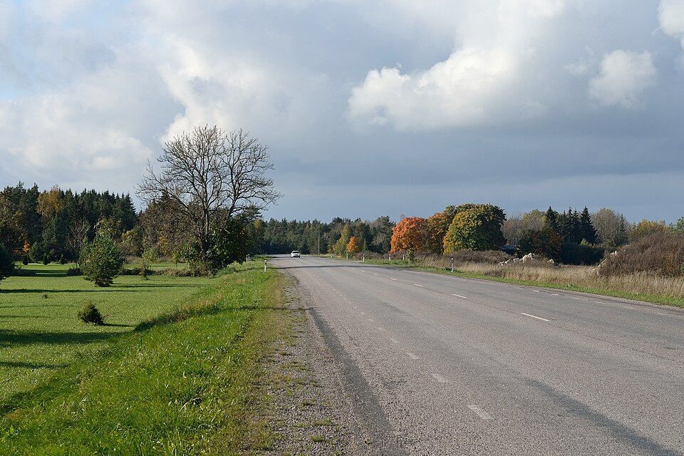 Fayl:Tallinna–Paldiski maantee Valkse külas.jpg