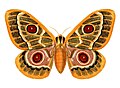 05:24, 2010-yil 19-dekabr dagi versiya uchun tasvir