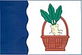 {{{rasmiy_nomi}}}ning bayrogʻi