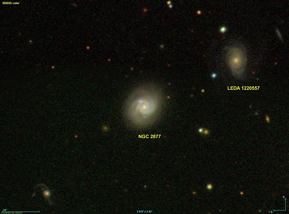 Fayl:NGC 2877 SDSS.jpg